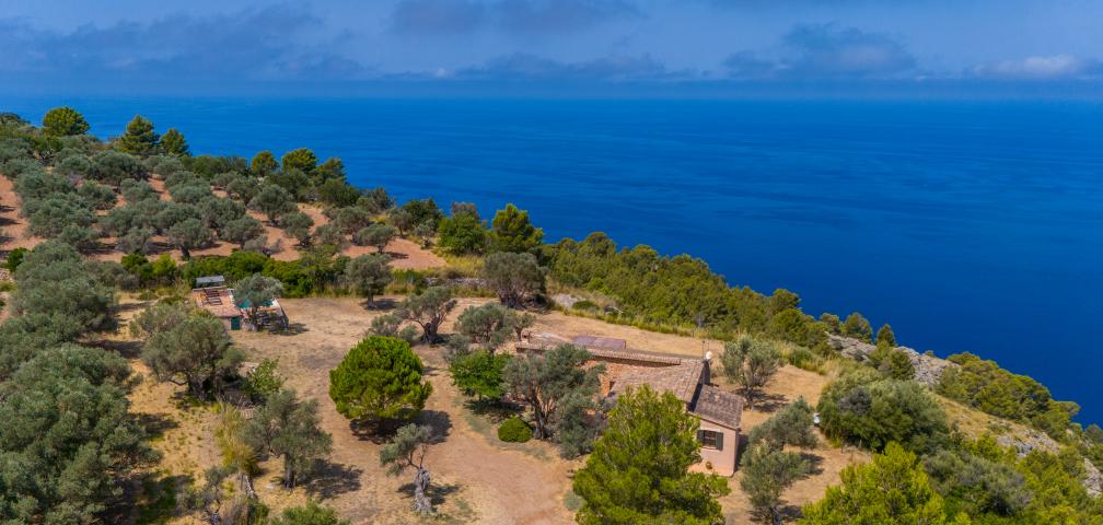 Finca Son Gallard Nou