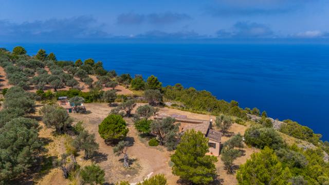 Finca Son Gallard Nou