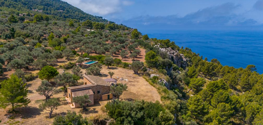 Finca Son Gallard Nou