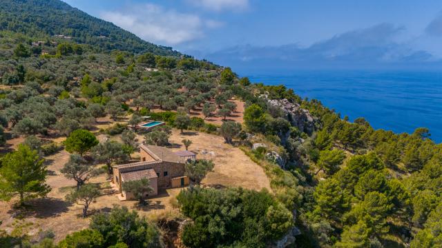 Finca Son Gallard Nou