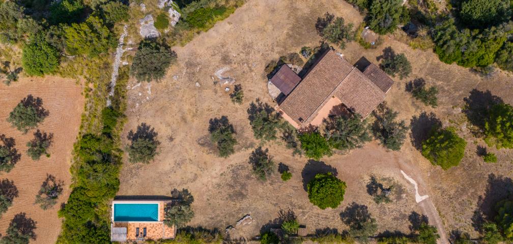 Finca Son Gallard Nou