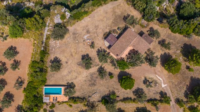 Finca Son Gallard Nou