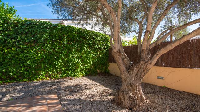 Villa Roure de Alcudia