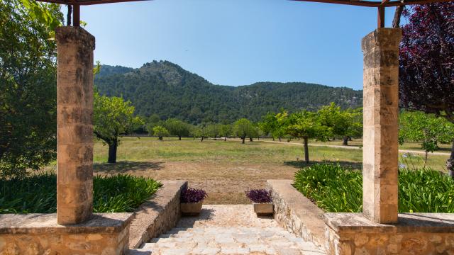 Finca La Rovina