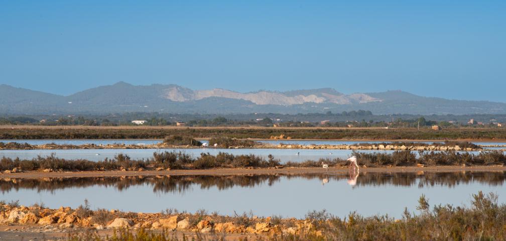 Finca Es Moli Des Trenc