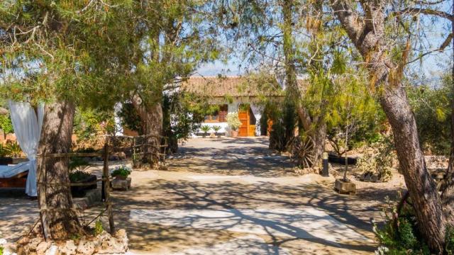 Finca Son Mulet