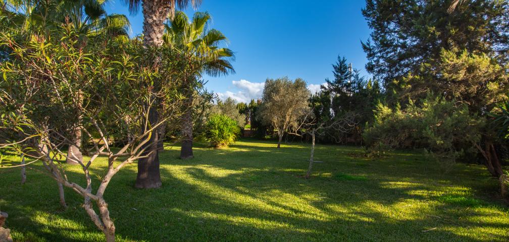 Finca Es Revolt de Sa Barrala