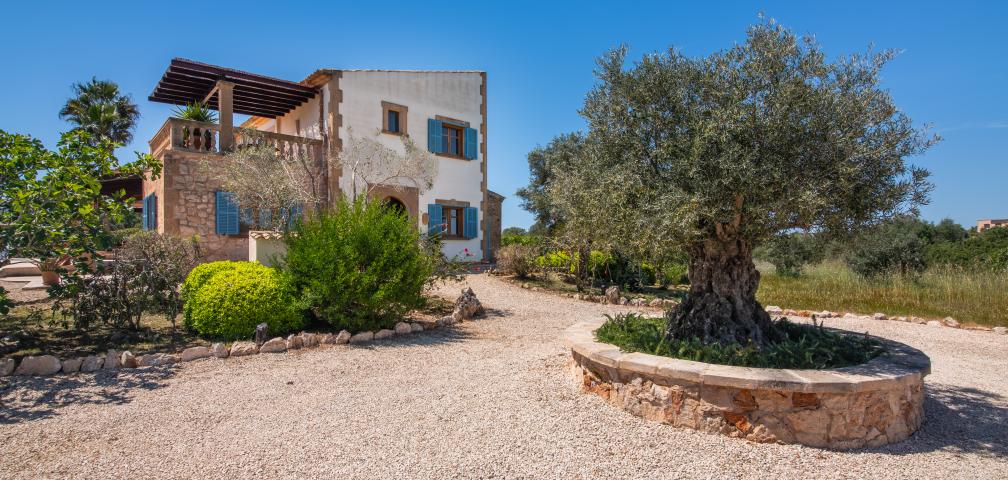 Finca Sila