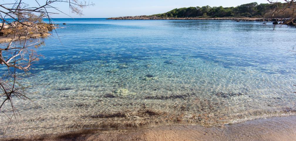 Finca Es Carregador Uno