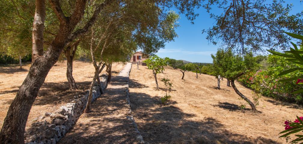 Finca Estrella De Sestelrica