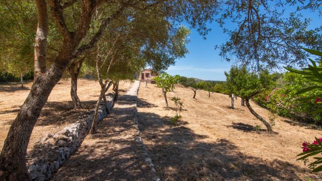 Finca Estrella De Sestelrica