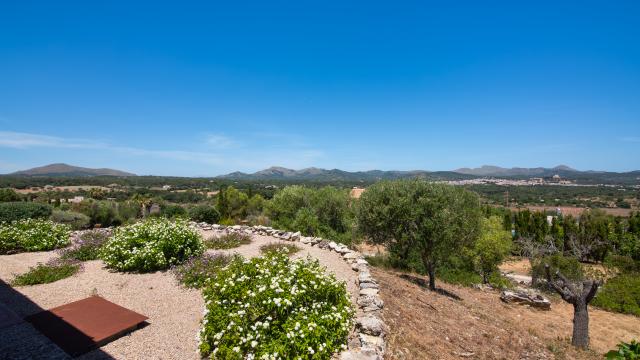 Finca Estrella De Sestelrica