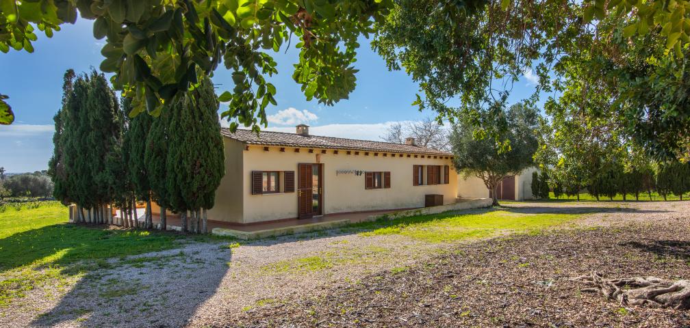 Finca Can Crespinetlo Nou