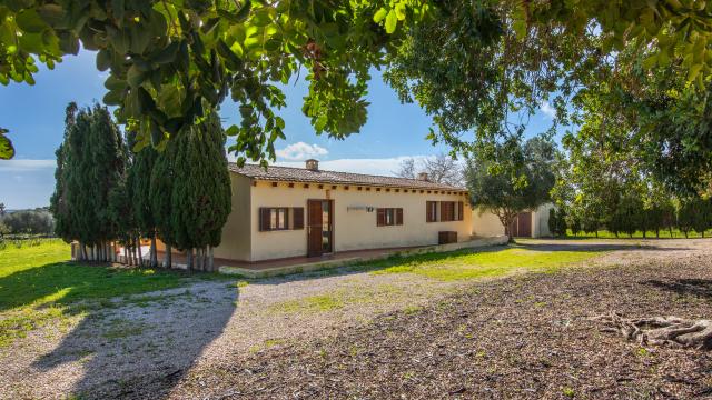 Finca Can Crespinetlo Nou