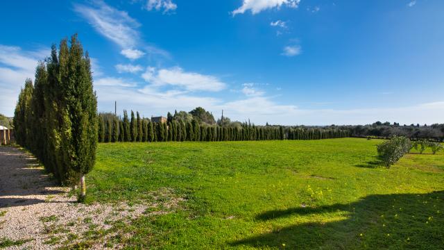 Finca Can Crespinetlo Nou