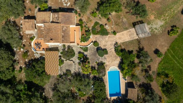 Finca Sa Carbona Nou