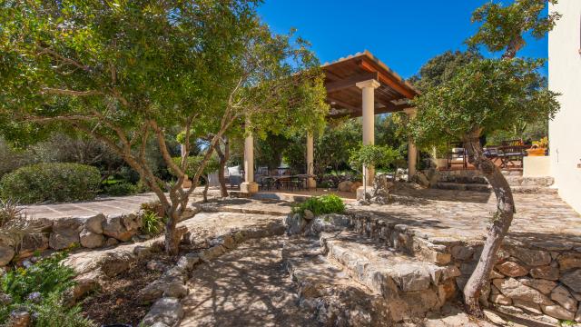 Finca Sa Carbona Nou