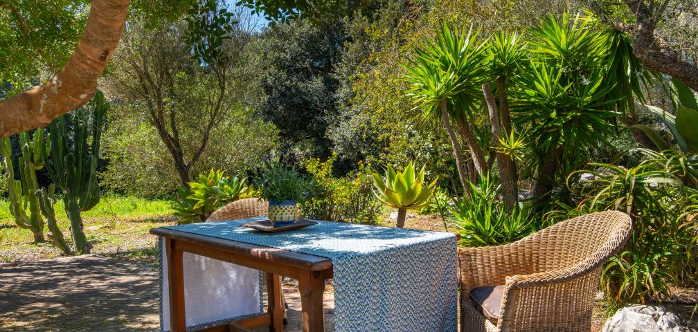 Finca Sa Carbona Nou