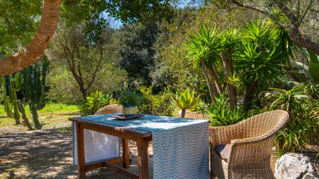 Finca Sa Carbona Nou