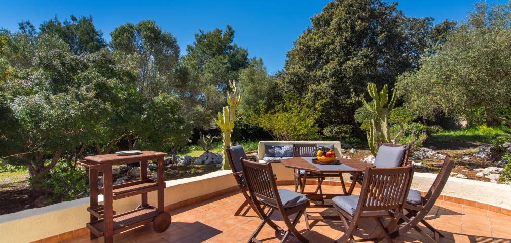 Finca Sa Carbona Nou