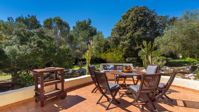 Finca Sa Carbona Nou