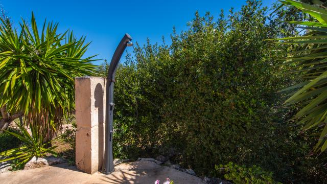 Finca Sa Carbona Nou