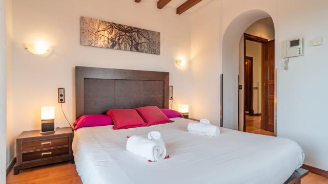 Finca Ses Oliveres de Sa Canova