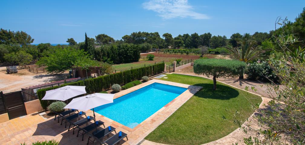 Finca Olivo de Son Jaumell