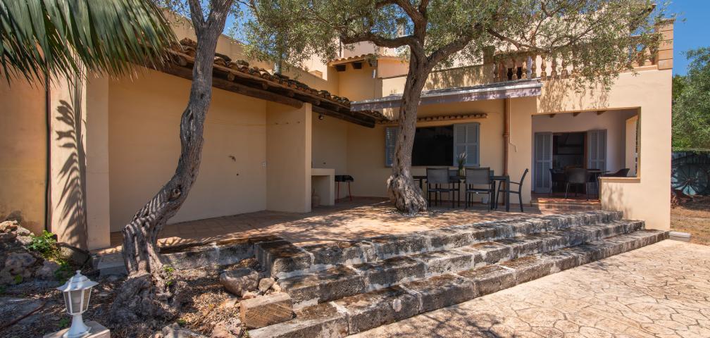 Finca Olivo de Son Jaumell