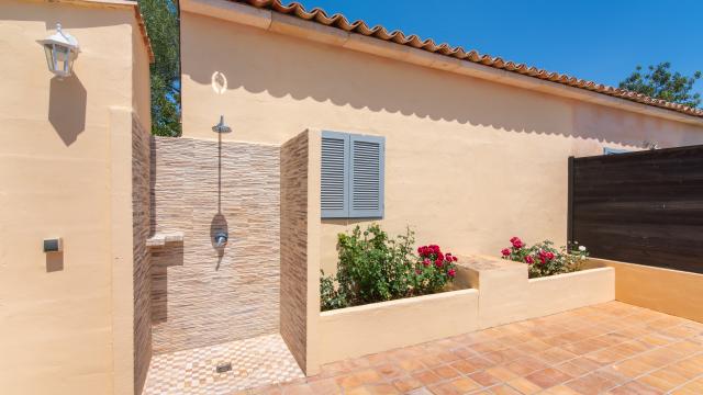 Finca Olivo de Son Jaumell