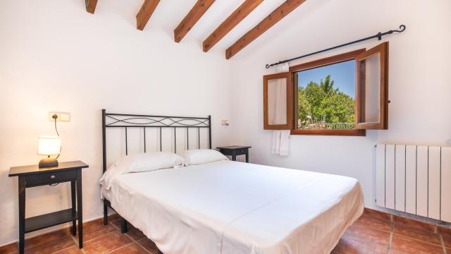 Finca Olivo de Son Jaumell