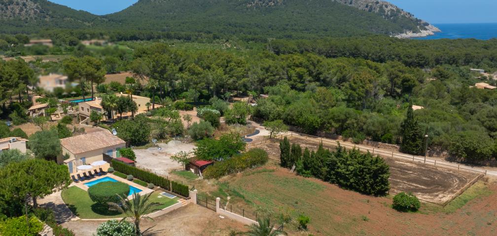 Finca Olivo de Son Jaumell