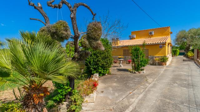 Finca Sa Sini