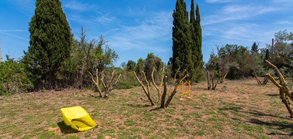 Finca Naranja y Flores