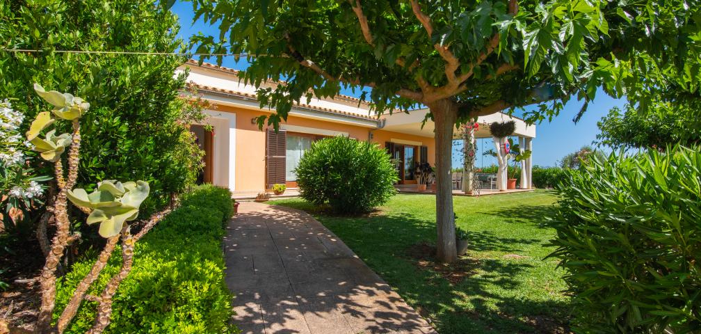 Finca Can Punxet