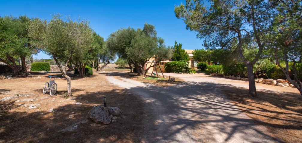 Finca Can Punxet