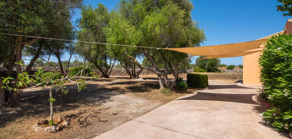 Finca Can Punxet