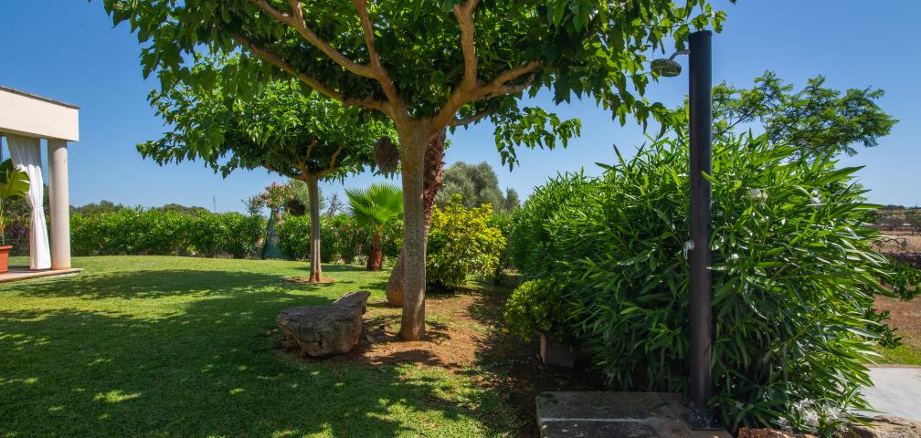 Finca Can Punxet