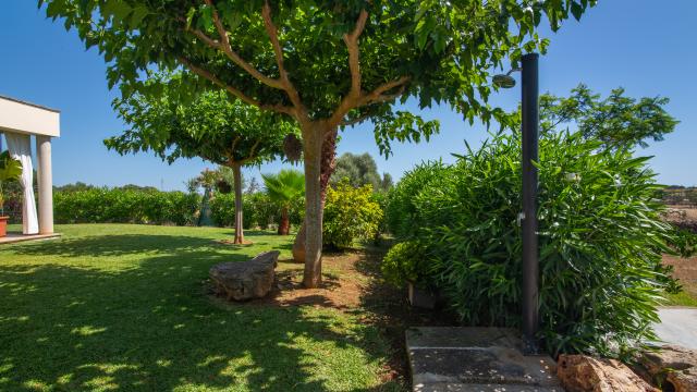 Finca Can Punxet