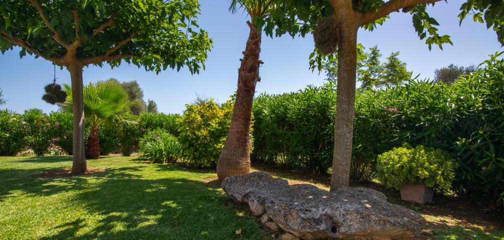 Finca Can Punxet