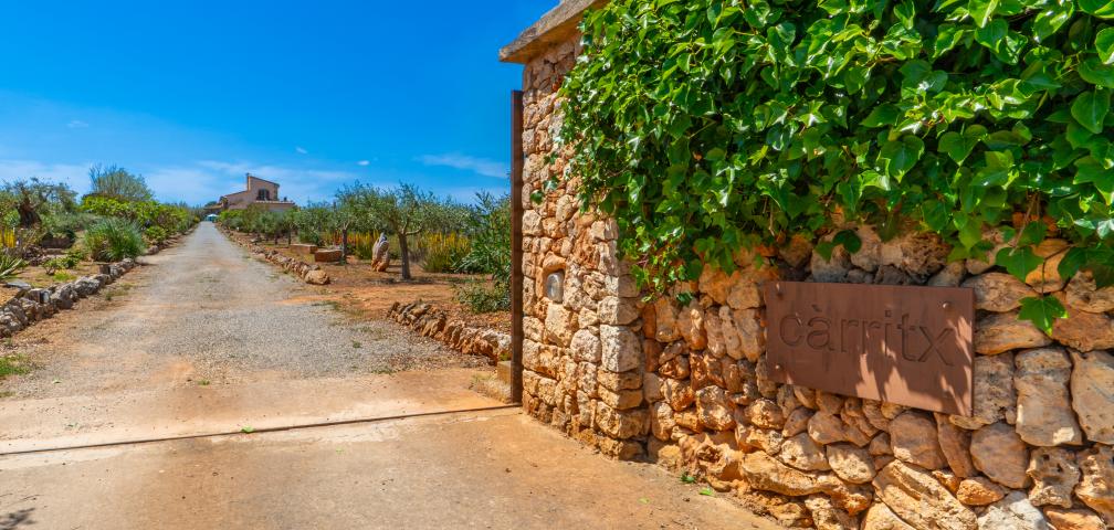 Finca Carritx