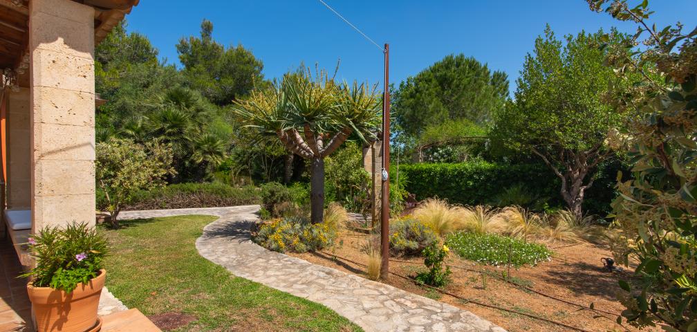 Finca Cal Llenyater