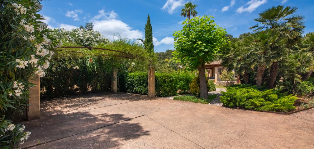 Finca Cal Llenyater