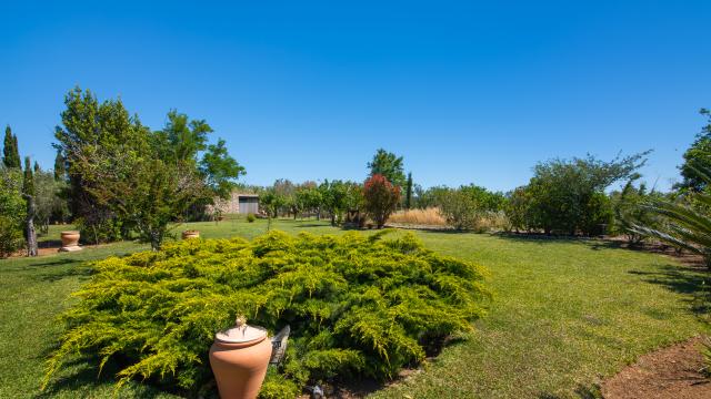 Finca Moliner Almadrava