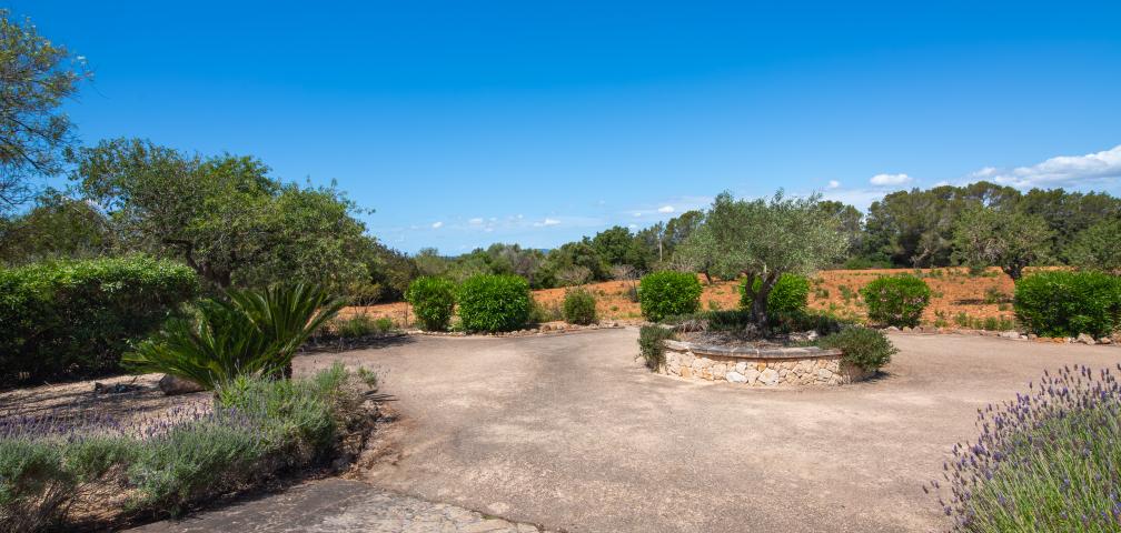 Finca Feliz