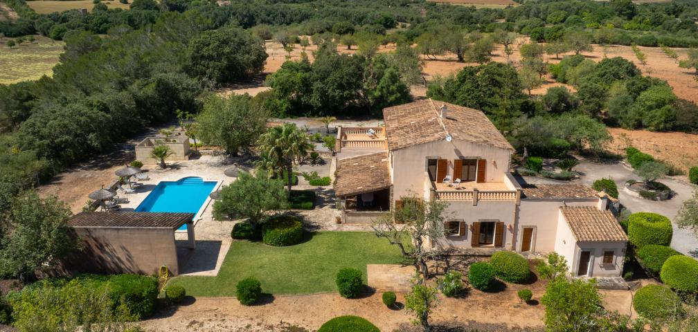 Finca Feliz