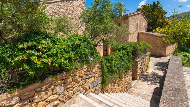 Finca Son Simo Vell