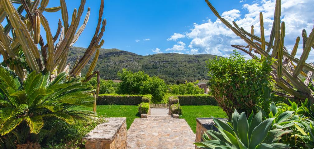 Finca Son Simo Vell