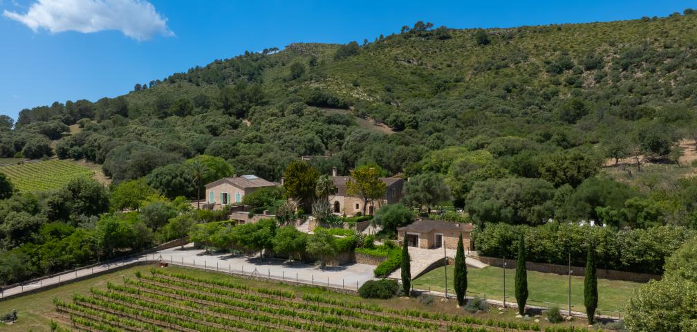 Finca Son Simo Vell