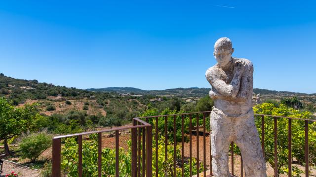 Finca Son Cladera Bosch